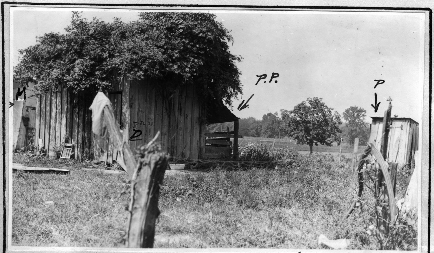 087~W. E. Norton Yard Aug 1920-1921.jpg